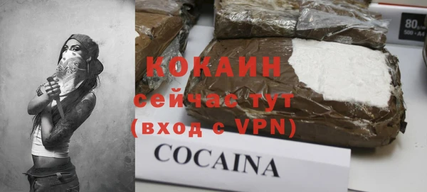 дживик Абинск