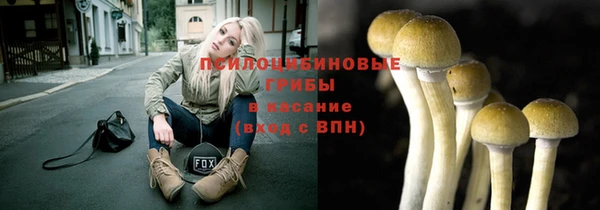дживик Абинск