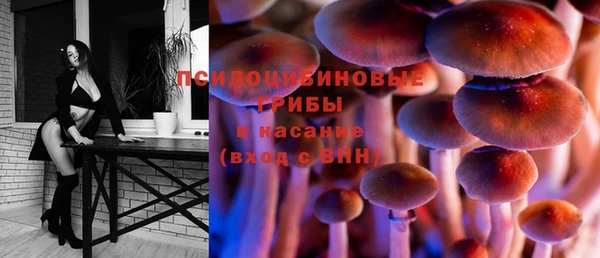 дживик Абинск