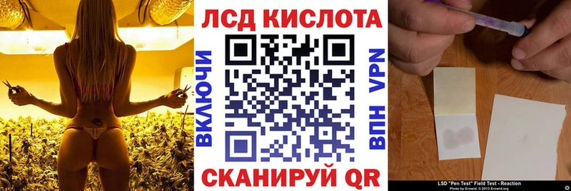 MEGA зеркало  Алагир  darknet клад  Марки N-bome 1500мкг 