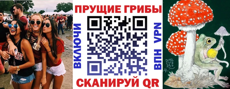 mega   наркошоп  Алагир  Псилоцибиновые грибы MAGIC MUSHROOMS 